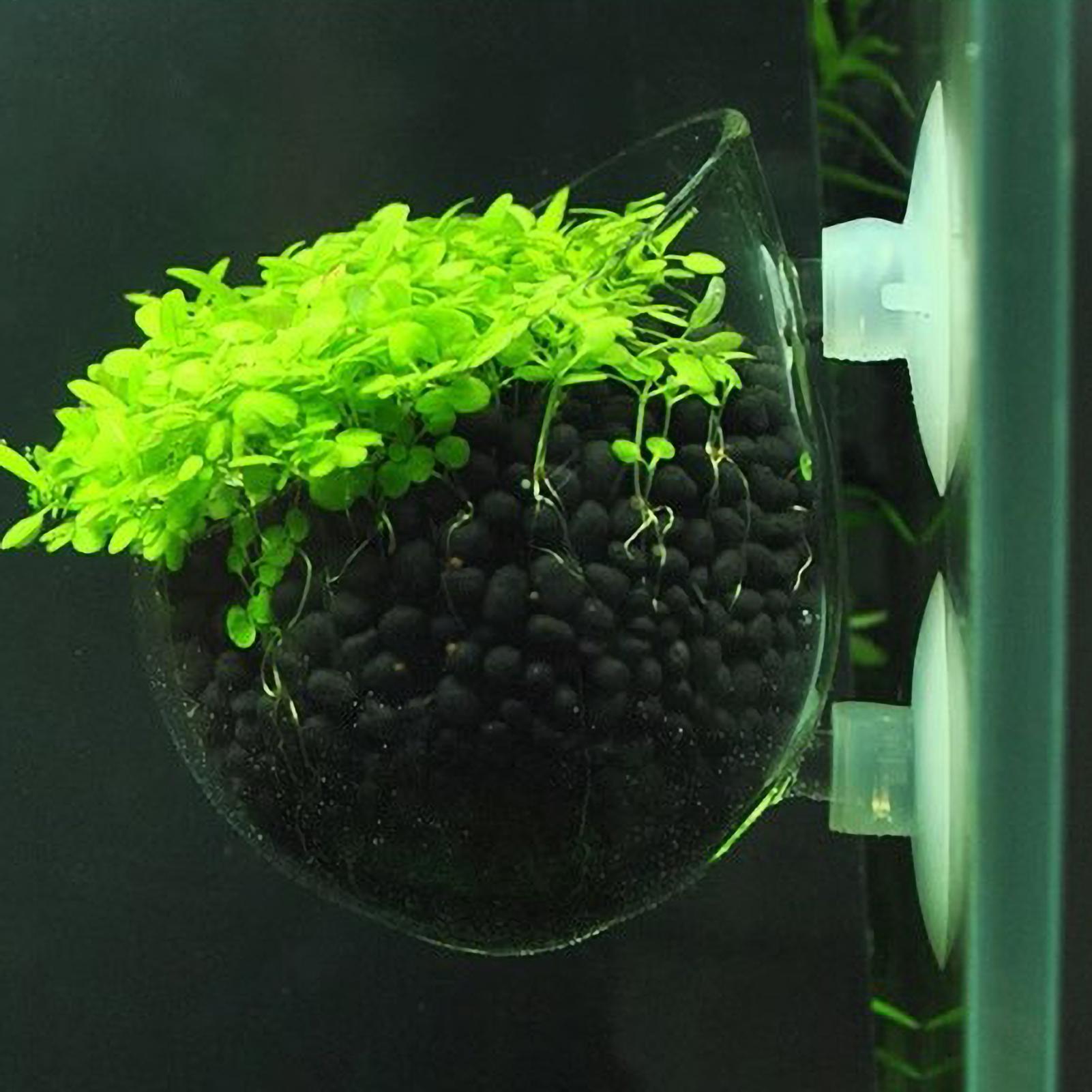 Aquarium Plant Gel - Держатель для аквариумных растений, стеклянный горшок
