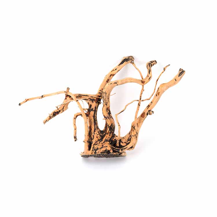 Aquarium Plants For Sale - Оптовая продажа: Натуральные декорации для аквариума