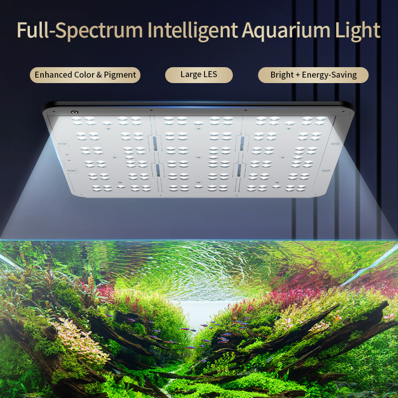 Светодиодный светильник KASSRA – обзор и цена Planted Aquarium Uv Light