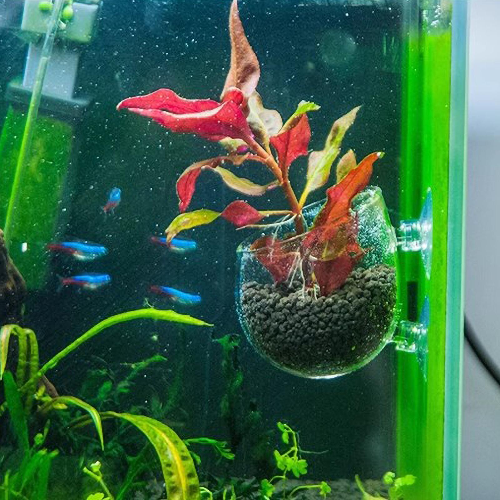 Держатель для аквариумных раст – обзор и цена Aquarium Plant Gel