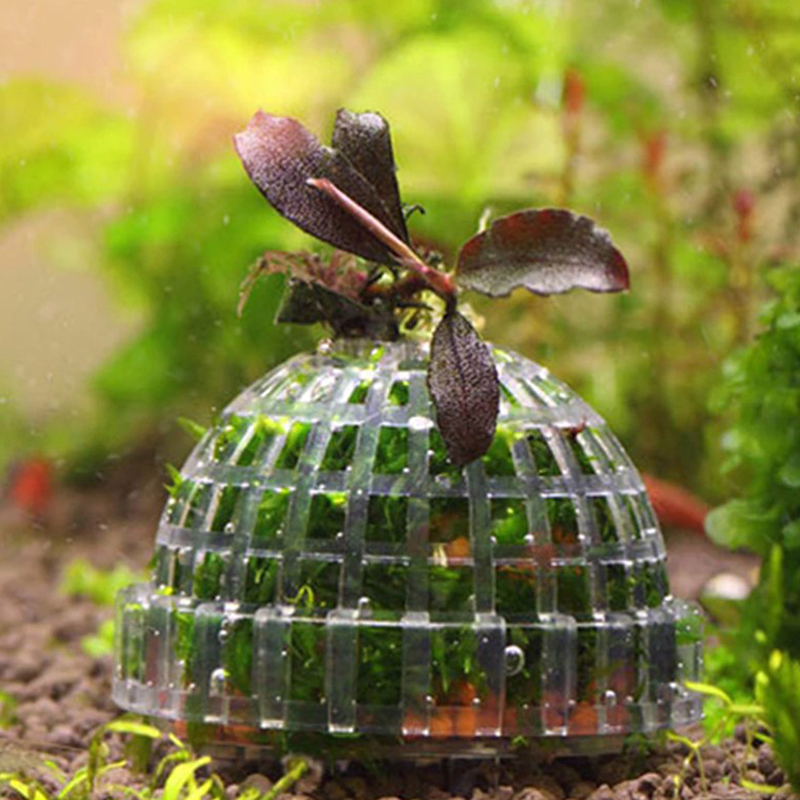 Горячая распродажа: Декорации  – обзор и цена Aquarium Plants For Sale