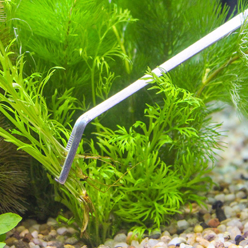 Профессиональный набор инструм – обзор и цена Planted Aquarium Tool Kit