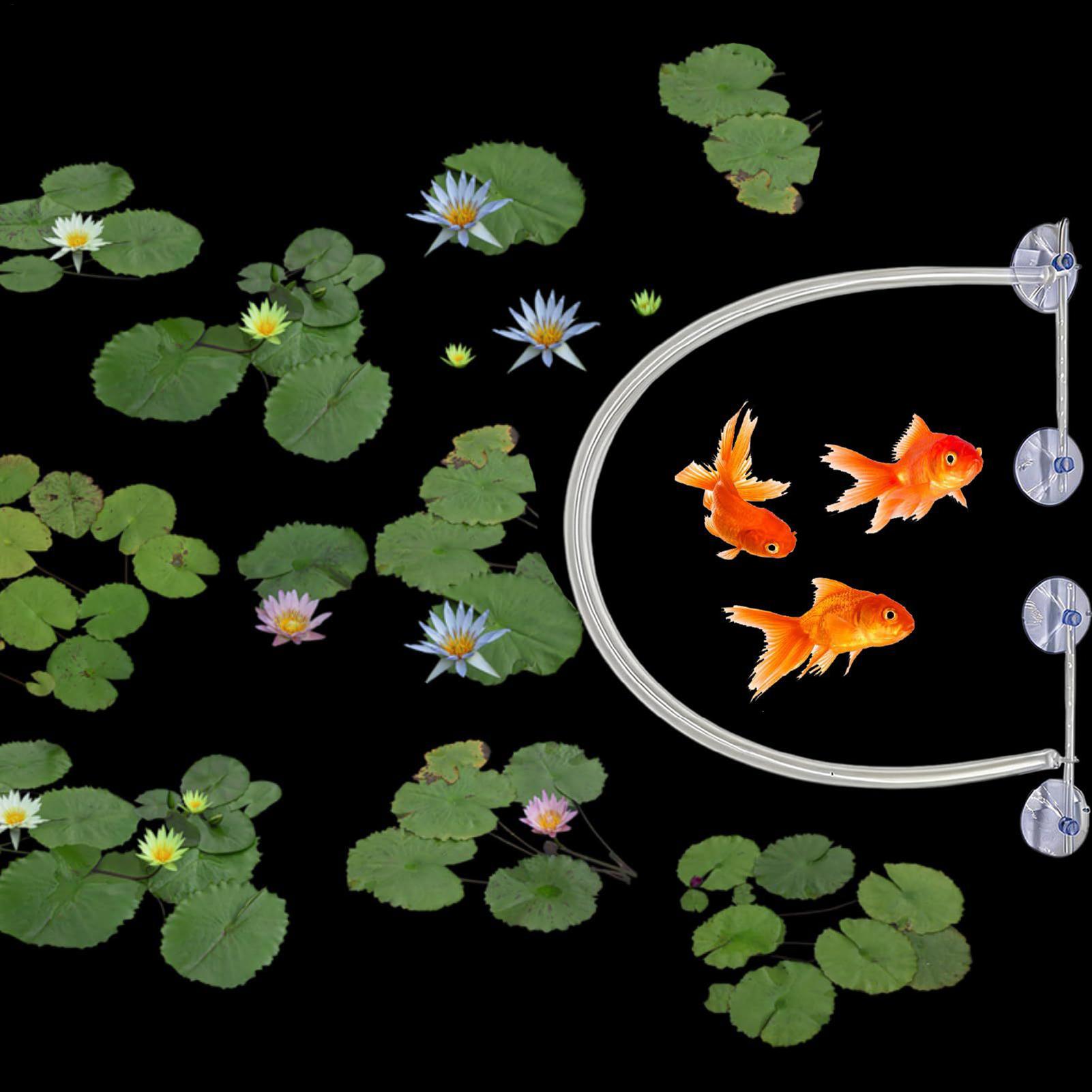 Автоматически регулируемый по  – обзор и цена Planted Aquarium Tank Kit