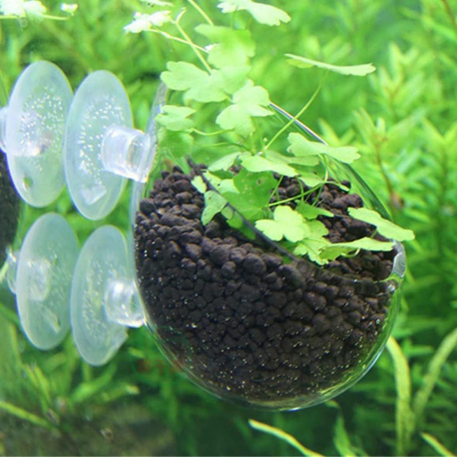 Стеклянный горшок для аквариум – обзор и цена Aquarium Plant Gel