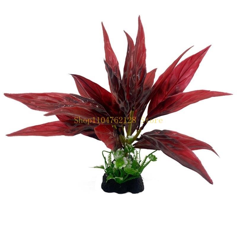 Аквариумные водные растения, п – обзор и цена Aquarium Plants For Sale