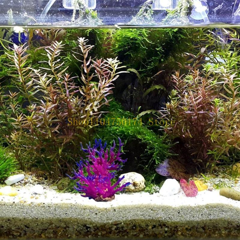 Искусственное дерево, декорати – обзор и цена Aquarium Plants For Sale