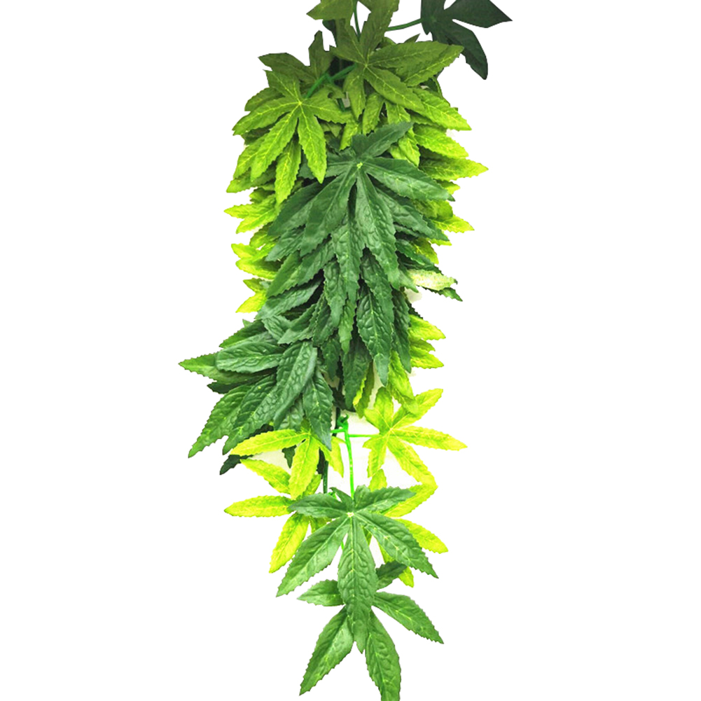 ГОРЯЧАЯ ПРОДАЖА 30/40/50 см ак – обзор и цена Aquarium Plants For Sale