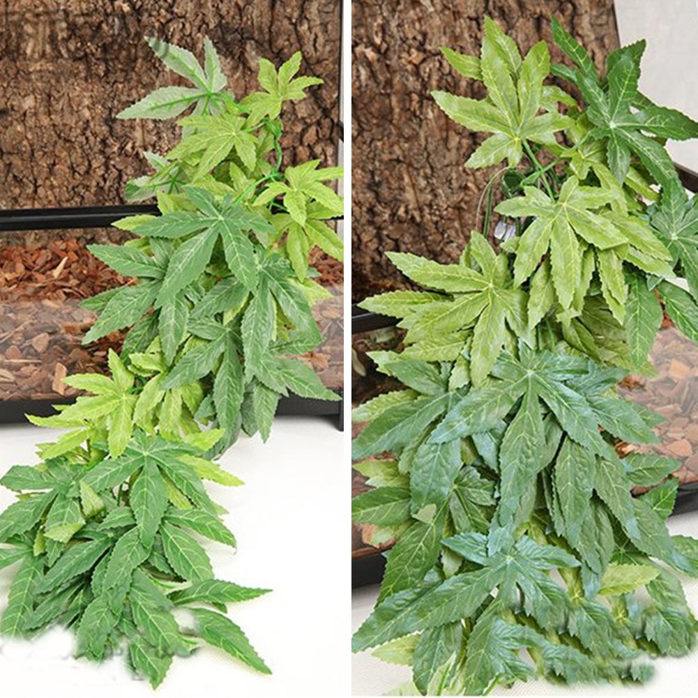 ГОРЯЧАЯ ПРОДАЖА 30/40/50 см ак – обзор и цена Aquarium Plants For Sale