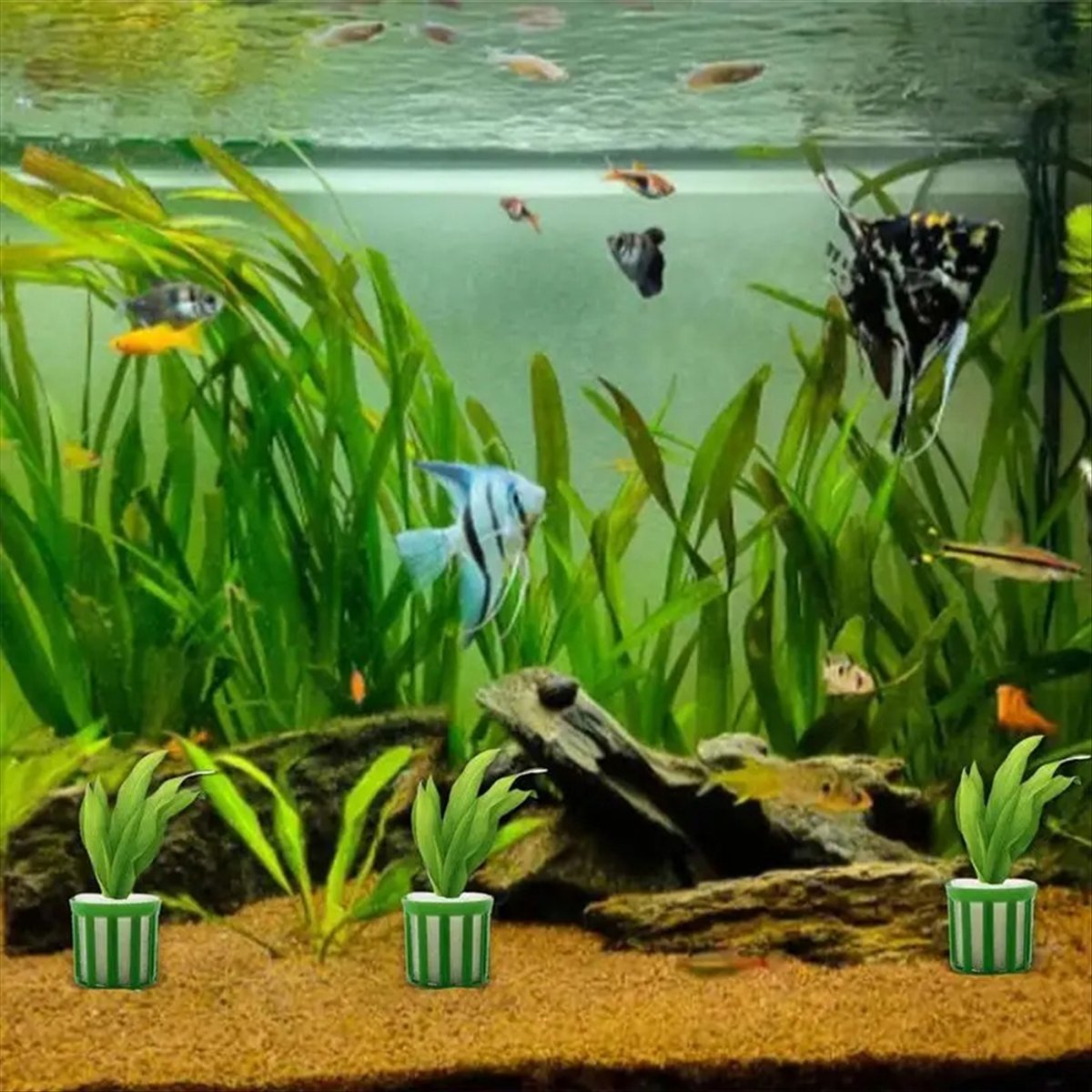 Комплект для фиксации аквариум – обзор и цена Planted Aquarium Tool Kit
