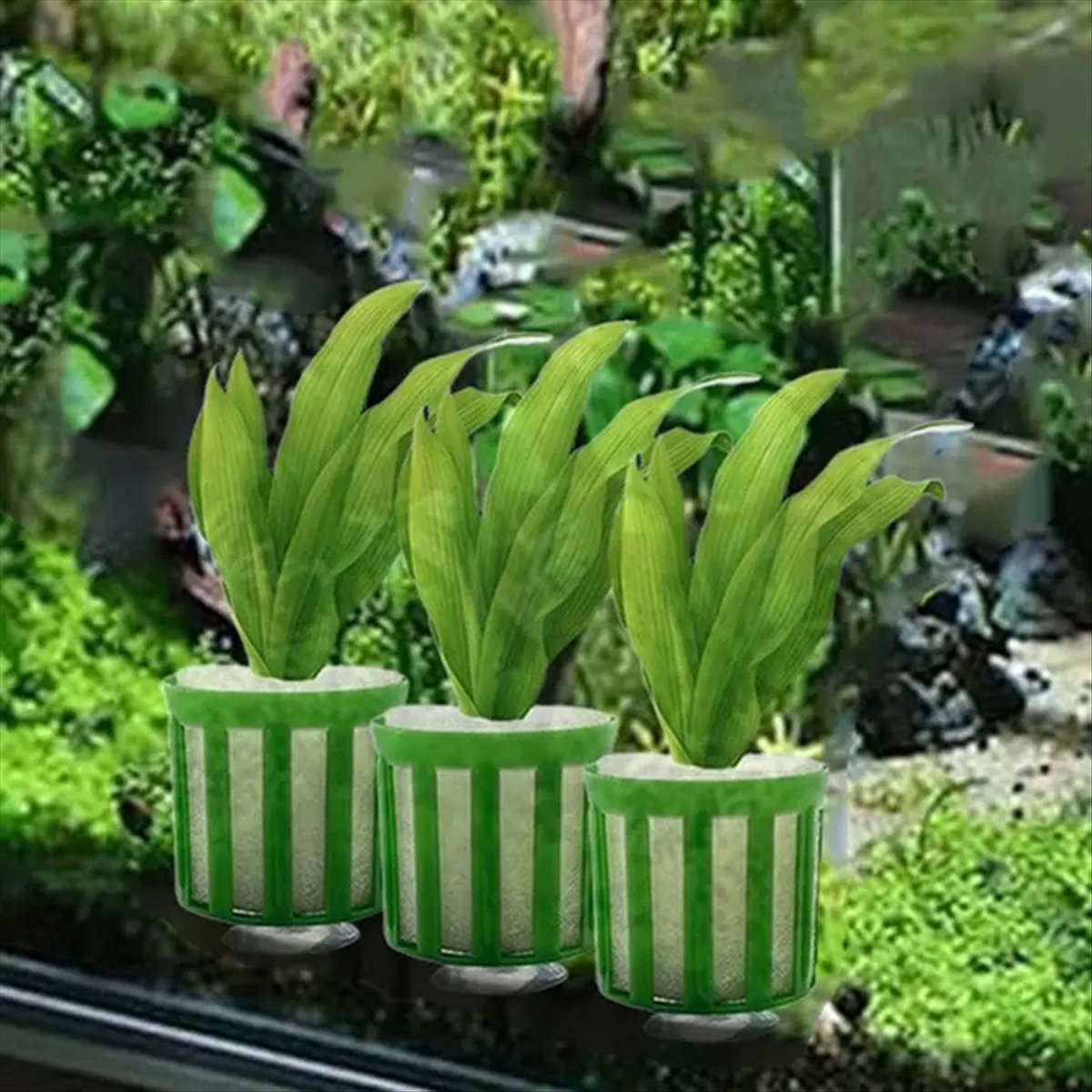 Комплект для фиксации аквариум – обзор и цена Planted Aquarium Tool Kit